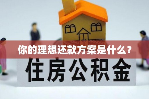 柯桥你的理想还款方案是什么？
